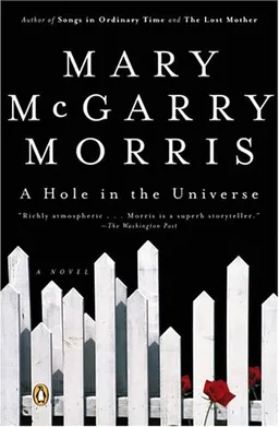 עטיפת הספר A Hole in the Universe מאת Mary McGarry Morris