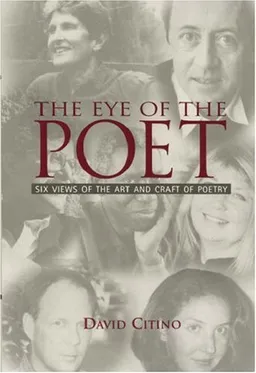 The Eye of the Poet: Six Views of the Art and Craft of Poetry