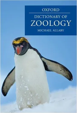 A Dictionary of Zoology (Oxford Dictionary of Zoology)