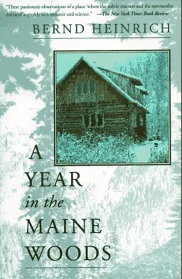 A Year In The Maine Woods