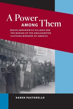 A Power among Them: Bessie Abramowitz Hillman and the Making of the Amalgamated Clothing (Working Class in American History)