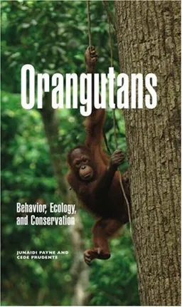 Orangutans: Behavior, Ecology, and Conservation