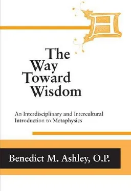 The Way toward Wisdom: An Interdisciplinary and Intercultural Introduction to Metaphysics (ND Thomistic Studies)