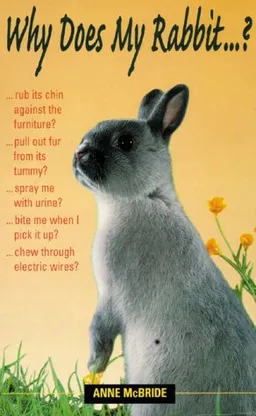 Why Does My Rabbit . . . ? (Pet Care)