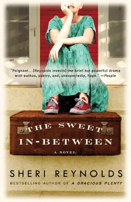 The Sweet In-Between: A Novel