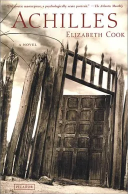 עטיפת הספר Achilles: A Novel מאת Elizabeth Cook