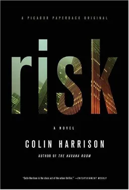 Risk: A Novel
