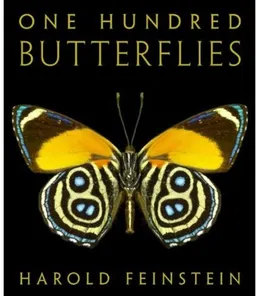 One Hundred Butterflies