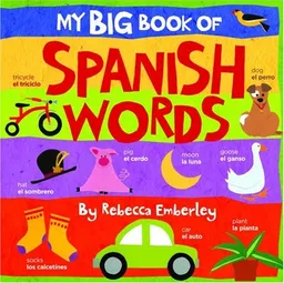 My Big Book of Spanish Words (My Big Book Of...)