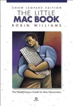 The Little Mac Book, Snow Leopard Edition