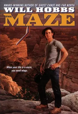 The Maze (Avon Camelot Books)
