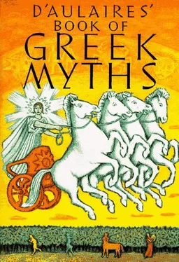 D'aulaire's Book of Greek Myths