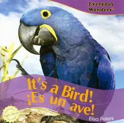Its a Bird! / Es un ave! (Everyday Wonders / Maravillas De Todos Los Días) (Spanish Edition)