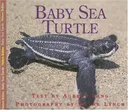 Baby Sea Turtle (Nature Babies)