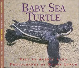 Baby Sea Turtle (Nature Babies)