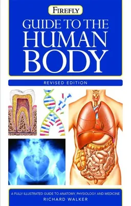 עטיפת הספר Guide to the Human Body (Firefly Pocket series) מאת Richard Walker