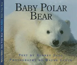 עטיפת הספר Baby Polar Bear (Nature Babies) מאת Aubrey Lang