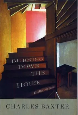 Burning Down the House: Essays on Fiction