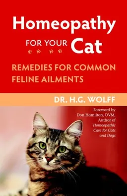 Homeopathy for Your Cat: Remedies for Common Feline Ailments