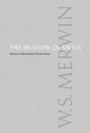 The Shadow of Sirius