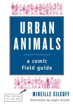 Urban Animals: A Comic Field Guide