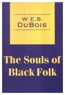 The Souls of Black Folk (Transaction Large Print Books)