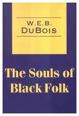 The Souls of Black Folk (Transaction Large Print Books)