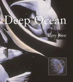 DEEP OCEAN                  PB (Natural World Series)