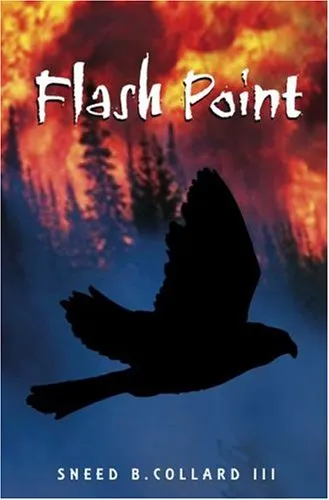 FLASH POINT