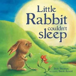 עטיפת הספר Little Rabbit Couldn't Sleep מאת Beth Shoshan