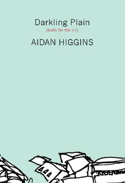 עטיפת הספר Darkling Plain: Texts for the Air מאת Aidan Higgins