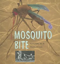 Mosquito Bite