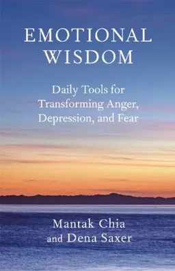 Emotional Wisdom: Daily Tools for Transforming Anger, Depression, and Fear