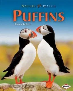 Puffins (Nature Watch)