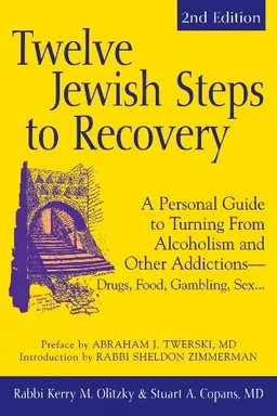 Twelve Jewish Steps to Recovery: A Personal Guide to Turning from Alcoholism and Other Addictions-- Drugs, Food, Gambling, Sex… (The Jewsih Lights Twelve Steps Series)
