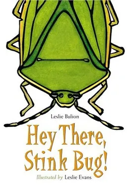 Hey There, Stink Bug!