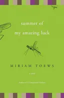 Summer of My Amazing Luck: A Novel