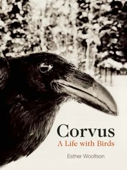 Corvus: A Life with Birds