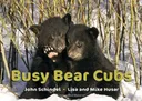 Busy Bear Cubs (A Busy Book)
