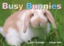 Busy Bunnies