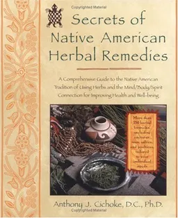 Secrets of Native American Herbal Remedies: comph GT Native amern Tradition Using Herbs Mind/Body/Spirit Connection for ipvg (Healing Arts)
