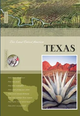 Texas (This Land Called America)