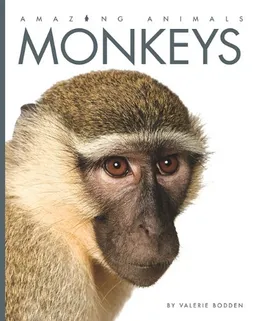 עטיפת הספר Monkeys (Amazing Animals) מאת Valerie Bodden
