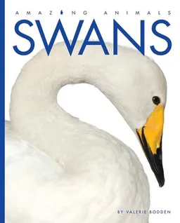 עטיפת הספר Swans (Amazing Animals) מאת Valerie Bodden