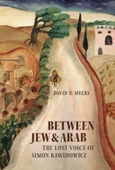 Between Jew and Arab: The Lost Voice of Simon Rawidowicz (Tauber Institute for the Study of European Jewry Series)