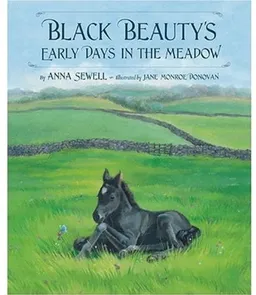 Black Beauty's Early Days in the Meadow (Classic Picture Books)