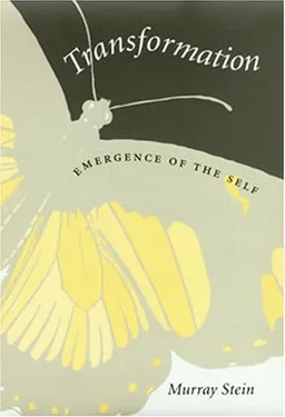 עטיפת הספר Transformation: Emergence of the Self (Carolyn and Ernest Fay Series in Analytical Psychology) מאת Murray Stein