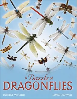 עטיפת הספר A Dazzle of Dragonflies מאת Forrest L. Mitchell