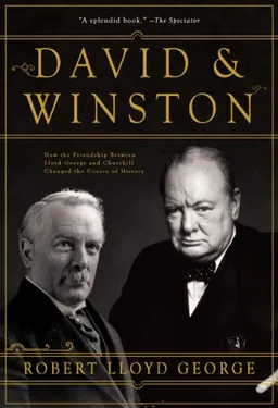 David  &  Winston: How a Friendship Changed History
