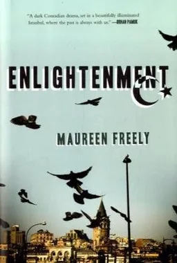 Enlightenment: A Novel